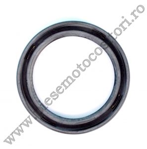 Simering 55X72X10 Lombardini 3LD510 – FIN924RT – PieseMotocositori.ro