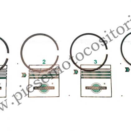Serie segmenti Lombardini 8LD740 D100.00mm - FIN054RS00