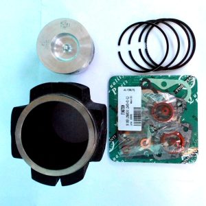 SET MOTOR LOMBARDINI 3LD450 FIN0534KIT