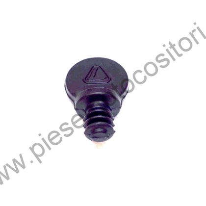 DOP PORNIRE LOMBARDINI - 10123