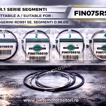 SERIE SEGMENTI RUGGERINI  RD951 D96  FIN075RS10